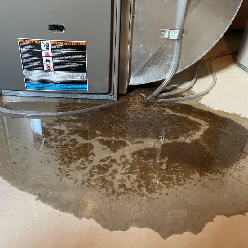 Appliance Leak Cleanup in Centerville, IN